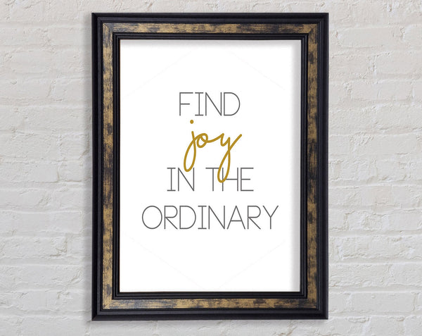 Find Joy Framed Print