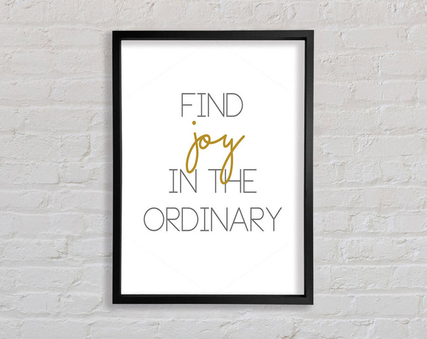 Find Joy Framed Print