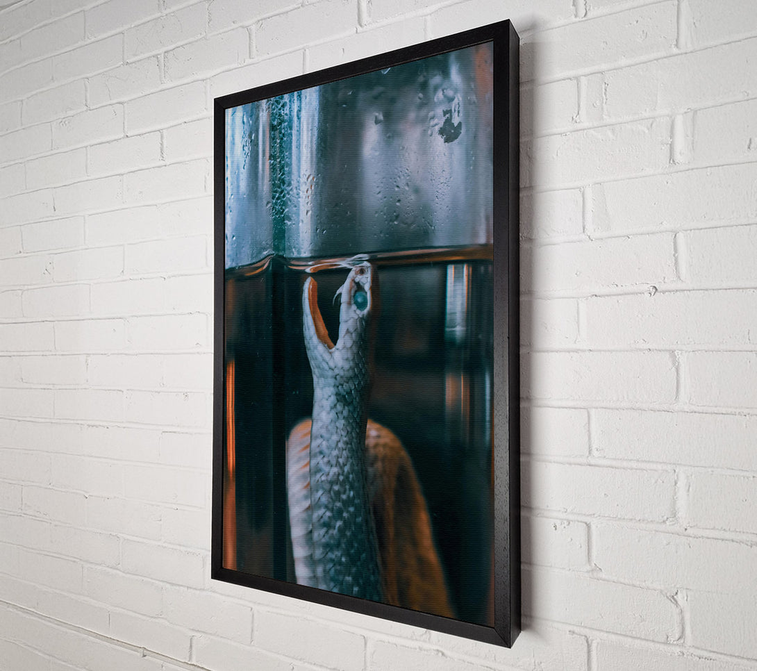 A Canvas Print of Blue Serpent In Glass Canvas Wall Art