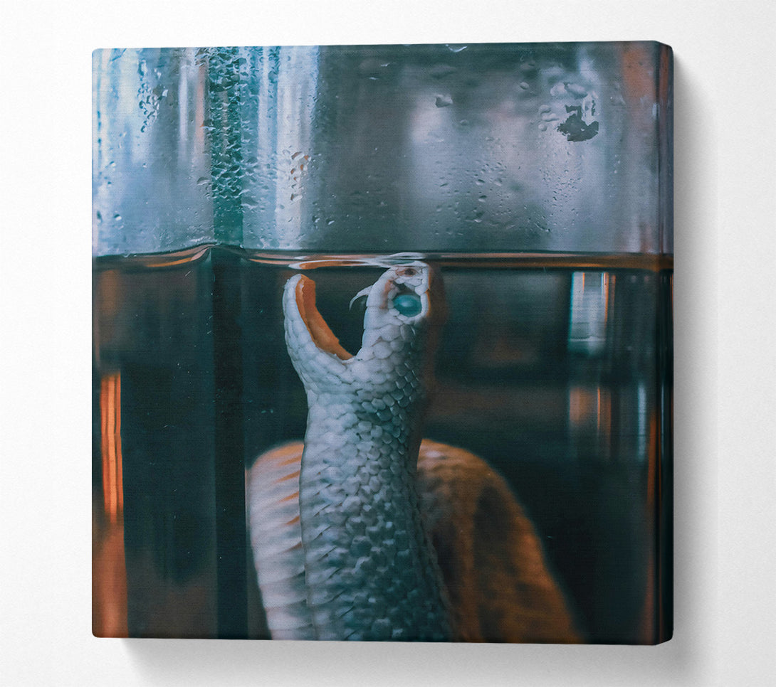  A Canvas Print of Blue Serpent In Glass Canvas Wall Art