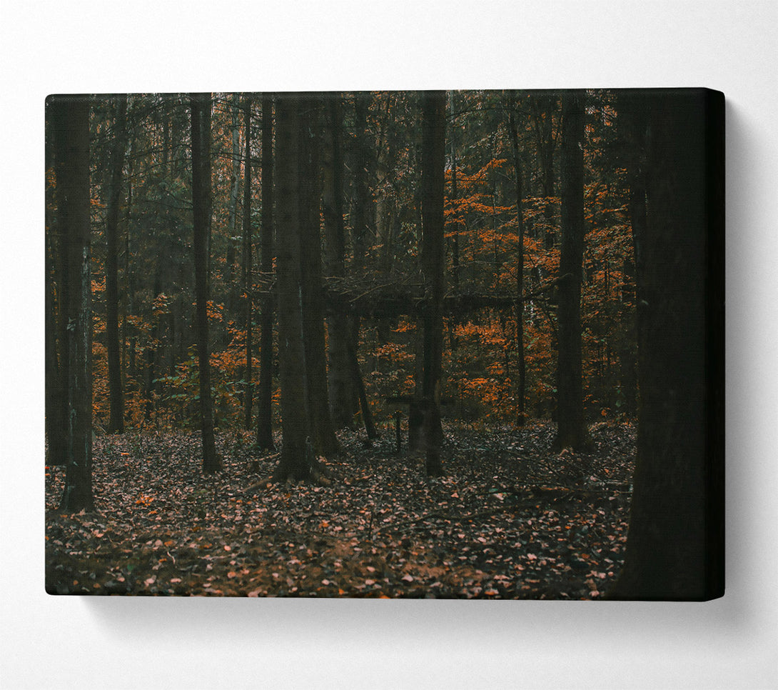  A Canvas Print of Golden Forest Hues Canvas Print