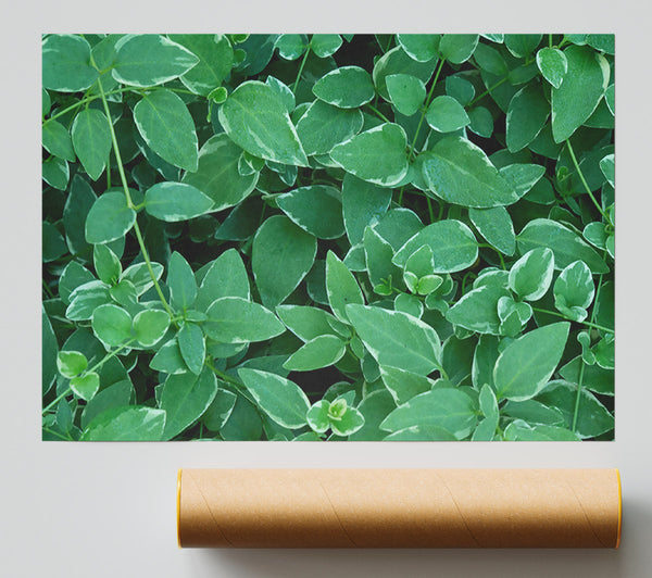 Emerald Leaf Mosaic Poster