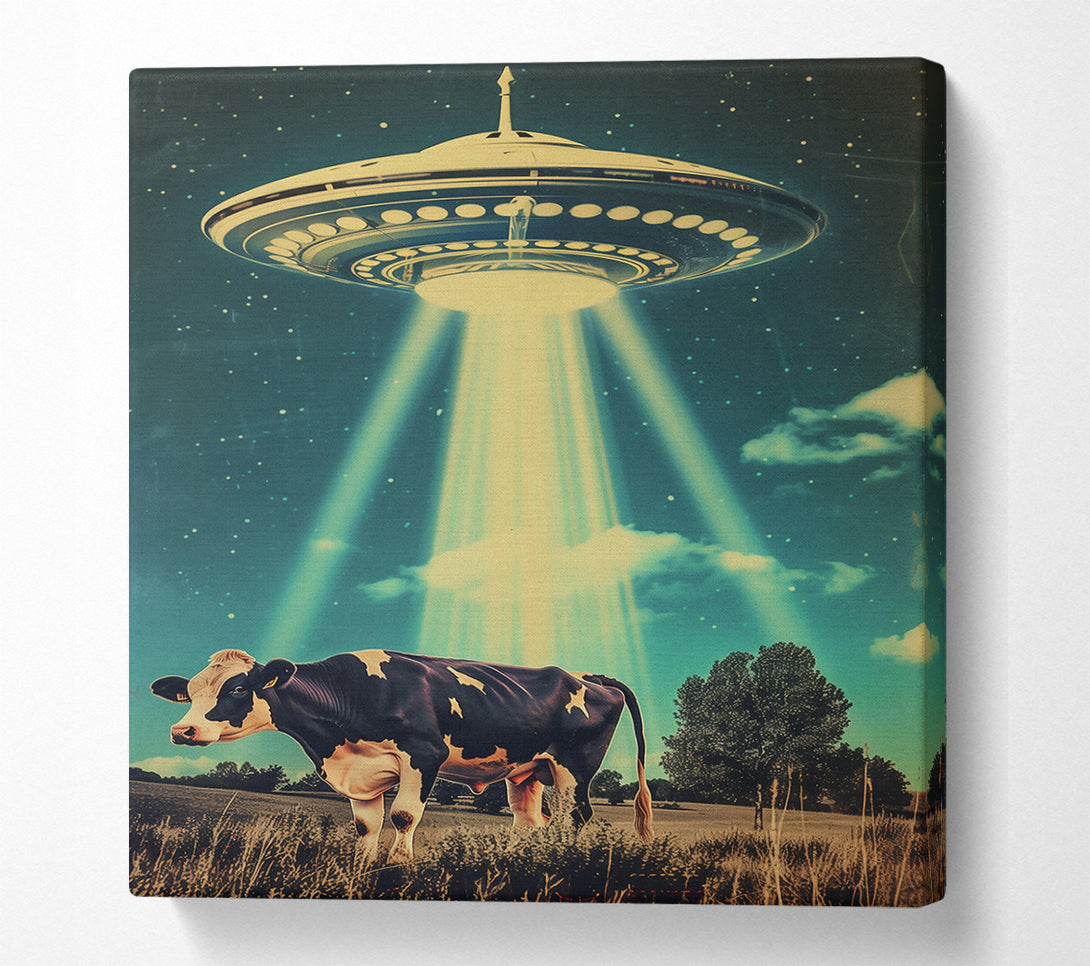  A Canvas Print of Teal Cow Abduction Canvas Art