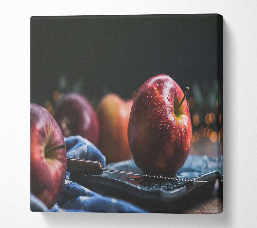  A Canvas Print of Crimson Apple Still Life Canvas Print