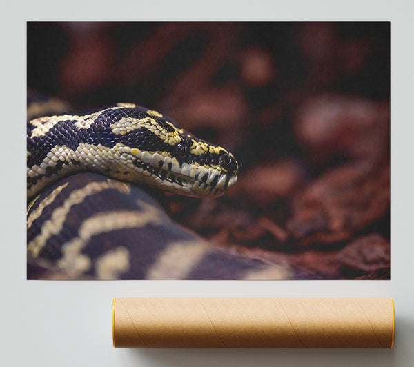 Black And Yellow Scales Giclee Print