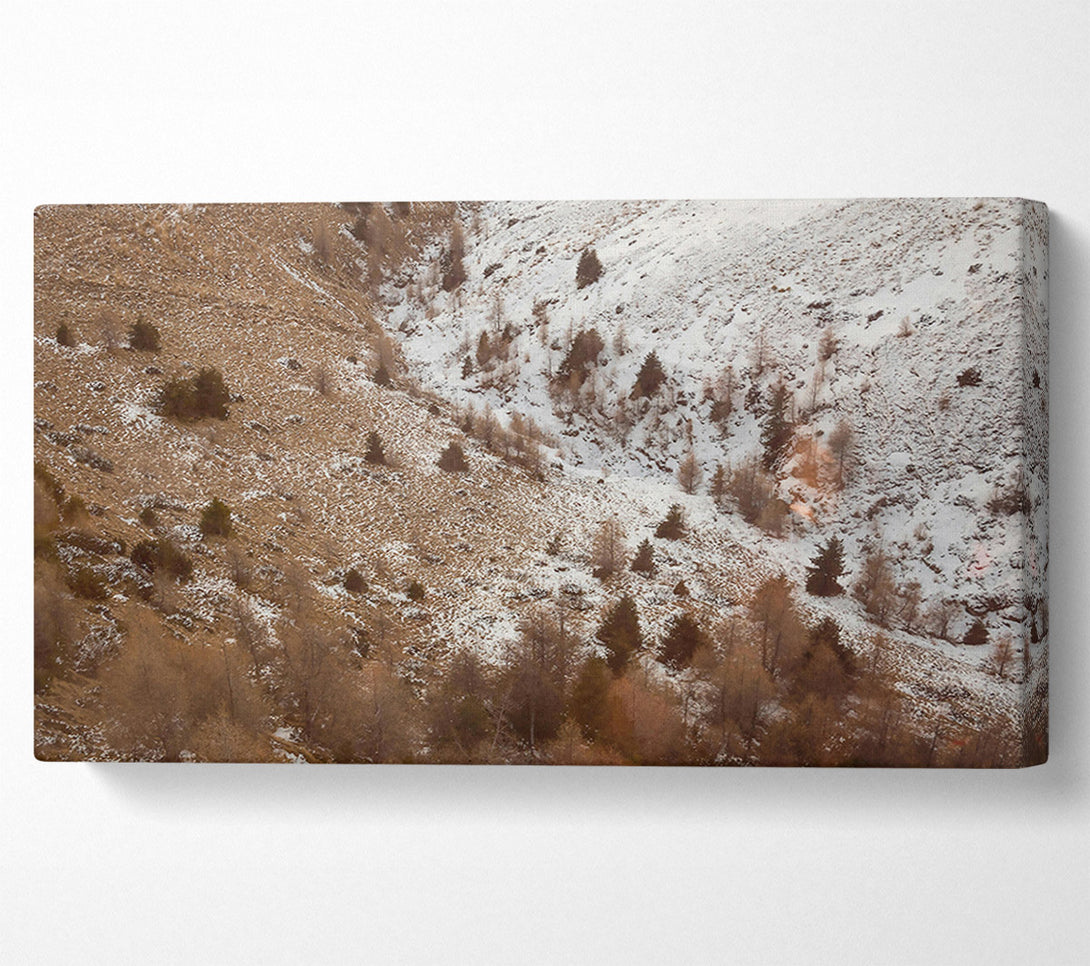  A Canvas Print of Brown Winter Landscape Canvas Print