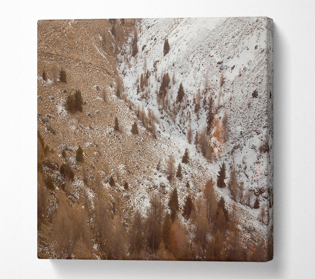  A Canvas Print of Brown Winter Landscape Canvas Print