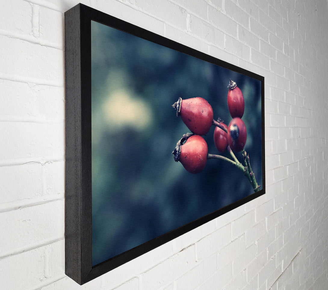  A Canvas Print of Crimson Wild Berries Canvas Art