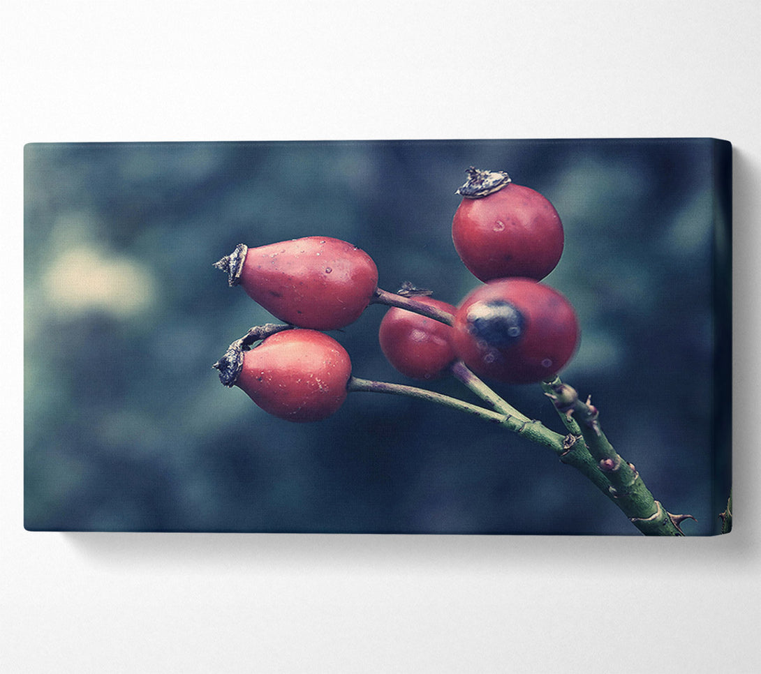  A Canvas Print of Crimson Wild Berries Canvas Art