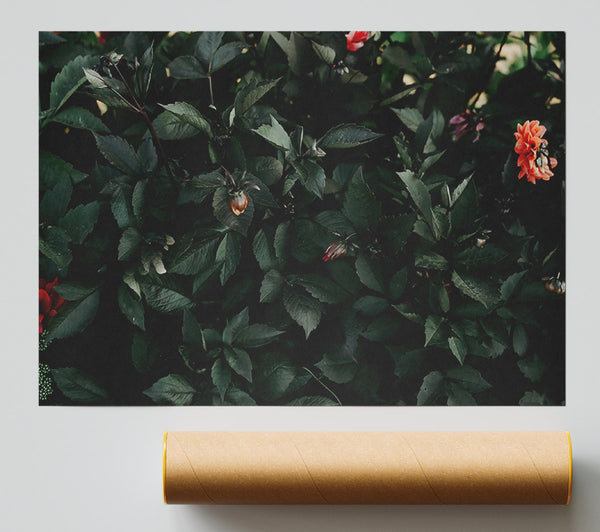Crimson Green Foliage Giclee Print