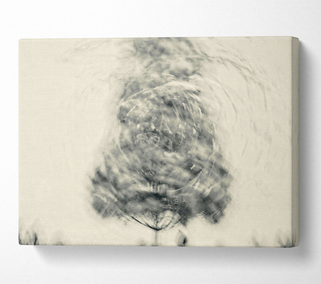  A Canvas Print of Silver Swirling Water Canvas Print