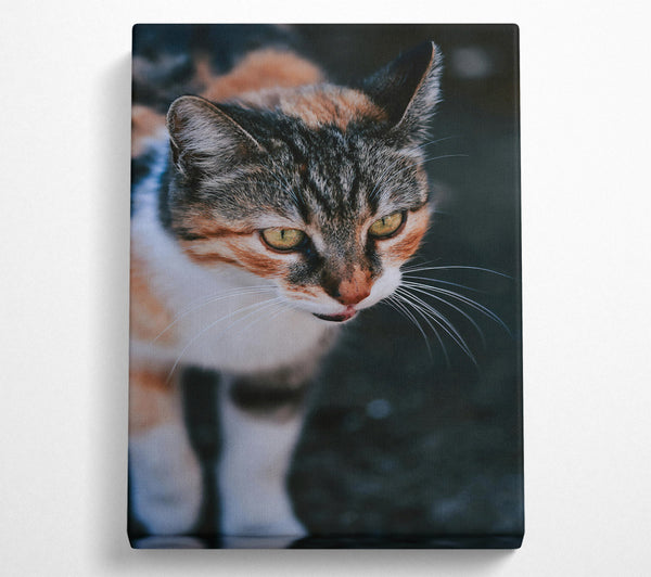  A Canvas Print of Golden Eyes In Grey Canvas Art
