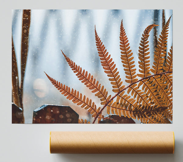 Golden Fern In Snow Giclee Print
