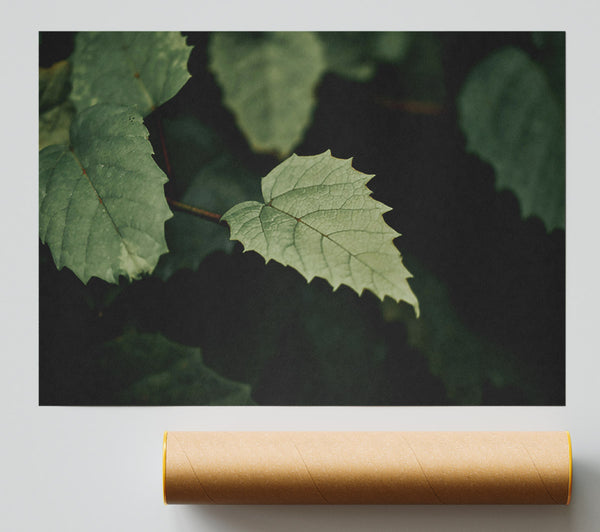 Emerald Leaf Silhouette Print