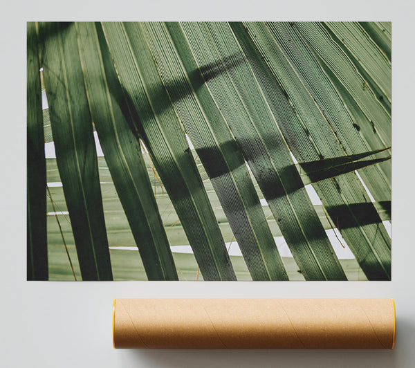 Emerald Palm Canopy Giclee Print