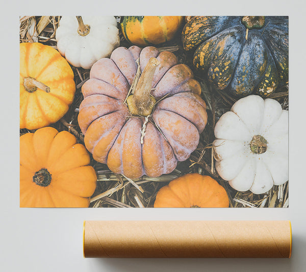 Autumn Orange Gourds Print