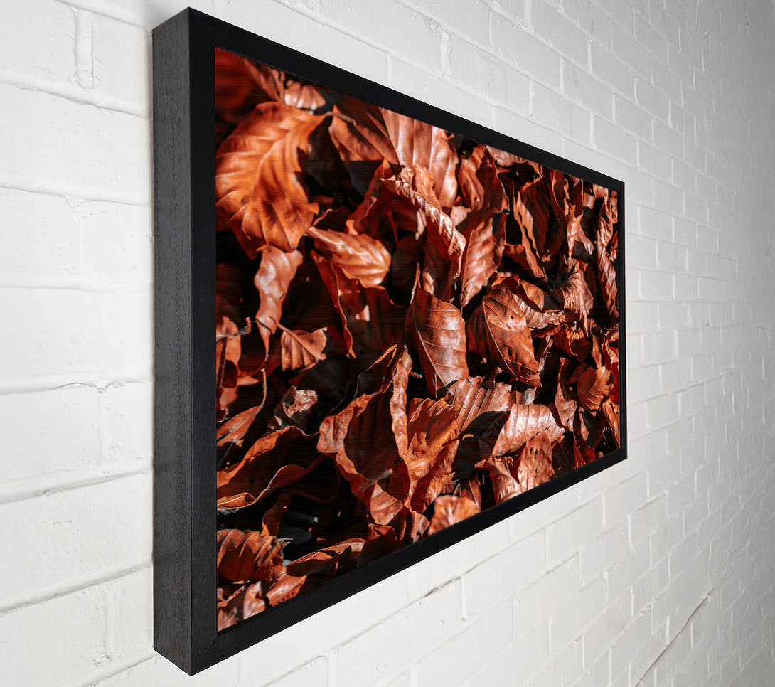  A Canvas Print of Russet Autumn Leaves Canvas Print