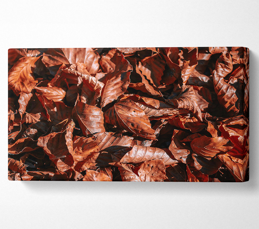  A Canvas Print of Russet Autumn Leaves Canvas Print