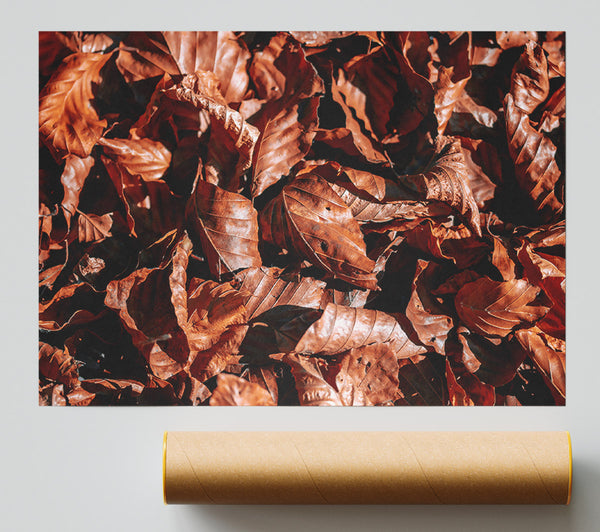 Russet Autumn Leaves Poster