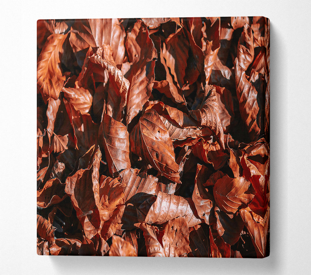  A Canvas Print of Russet Autumn Leaves Canvas Print