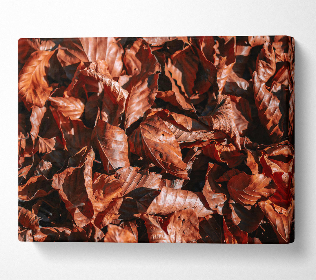  A Canvas Print of Russet Autumn Leaves Canvas Print