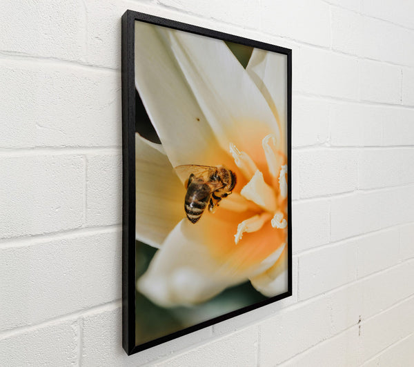 Golden Pollen Bloom