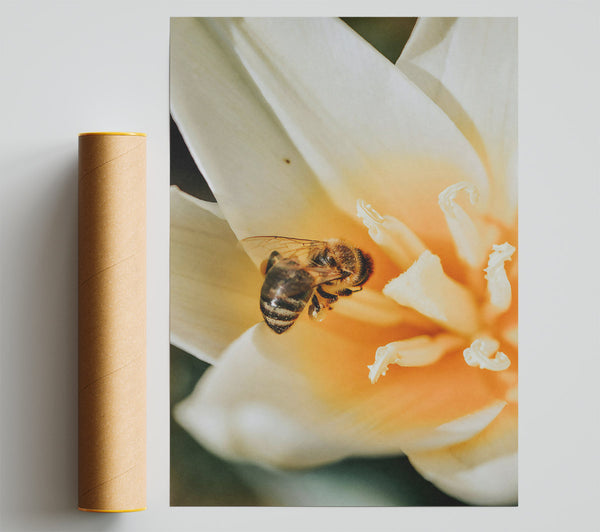 Golden Pollen Bloom Poster