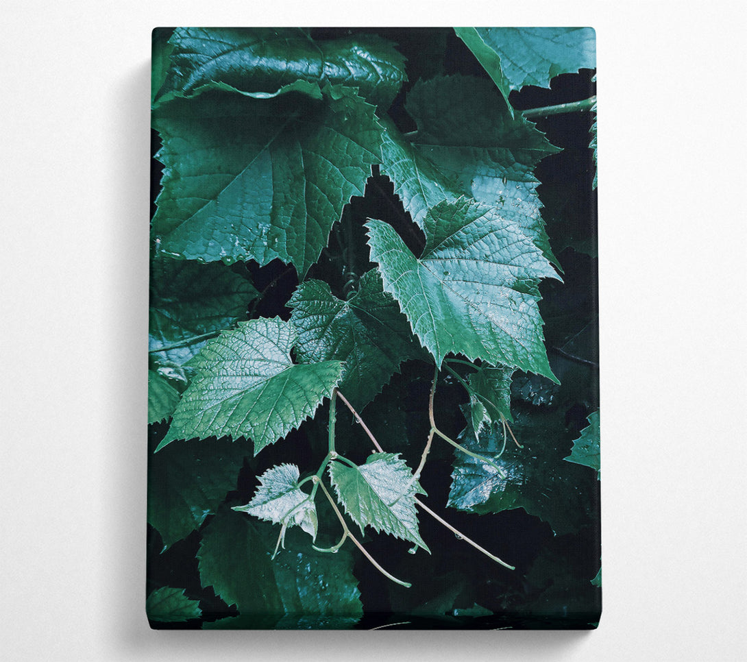  A Canvas Print of Emerald Green Vines Canvas Wall Art