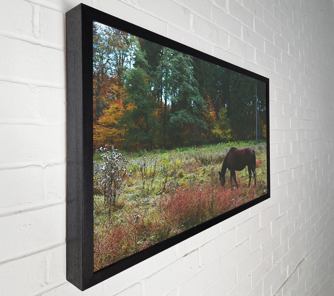  A Canvas Print of Brown Horse In The Woods Canvas Art