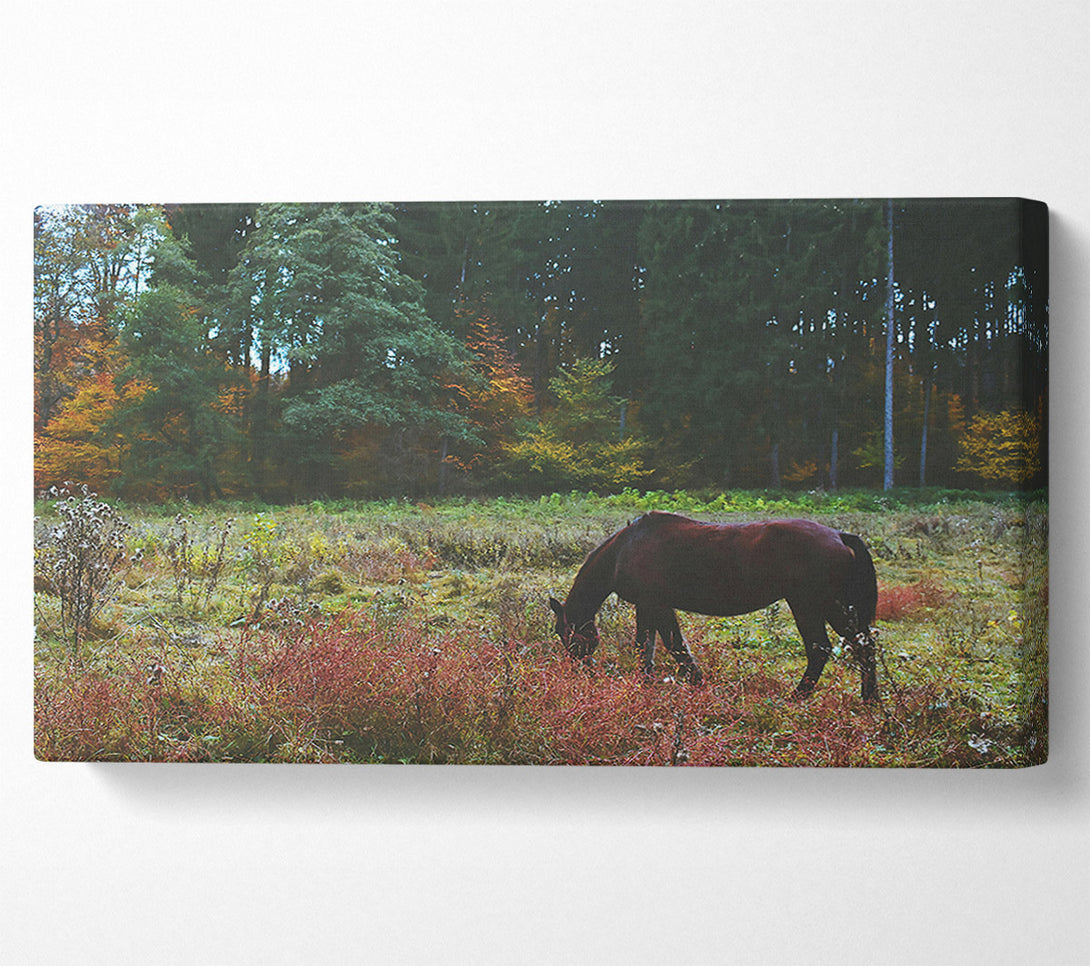  A Canvas Print of Brown Horse In The Woods Canvas Art