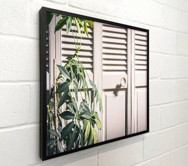 White Door Green Plant