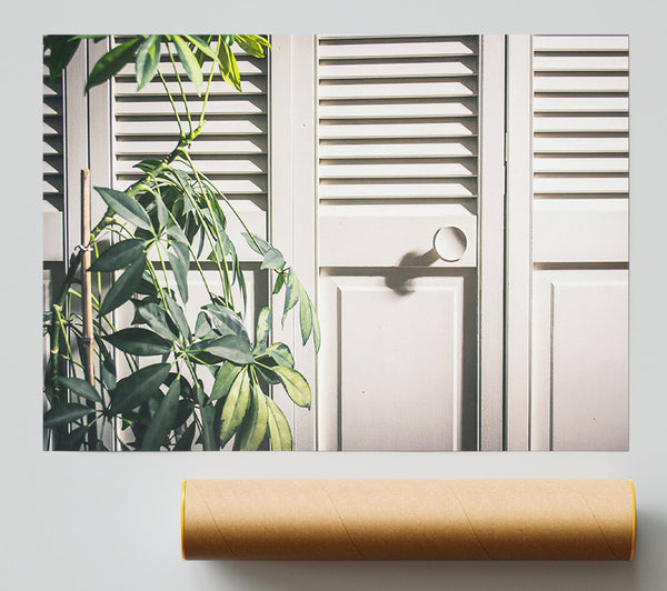 White Door Green Plant Poster