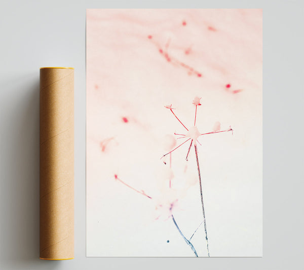 Pink Winter Bloom Giclee Print