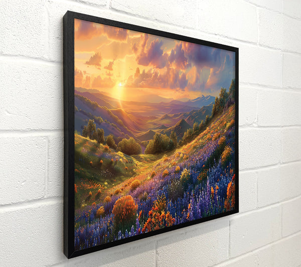 Golden Sunset Hills