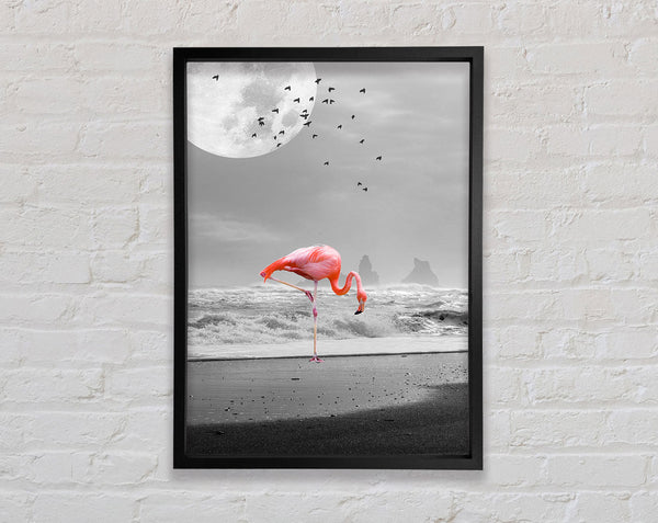 Flamingo Night Moon Framed Print