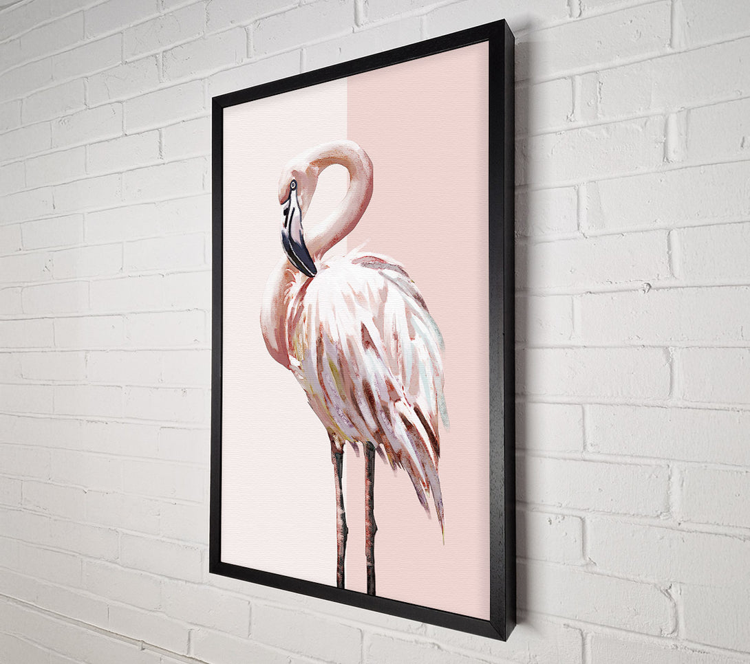  A Canvas Print of Flamingo Canvas Print