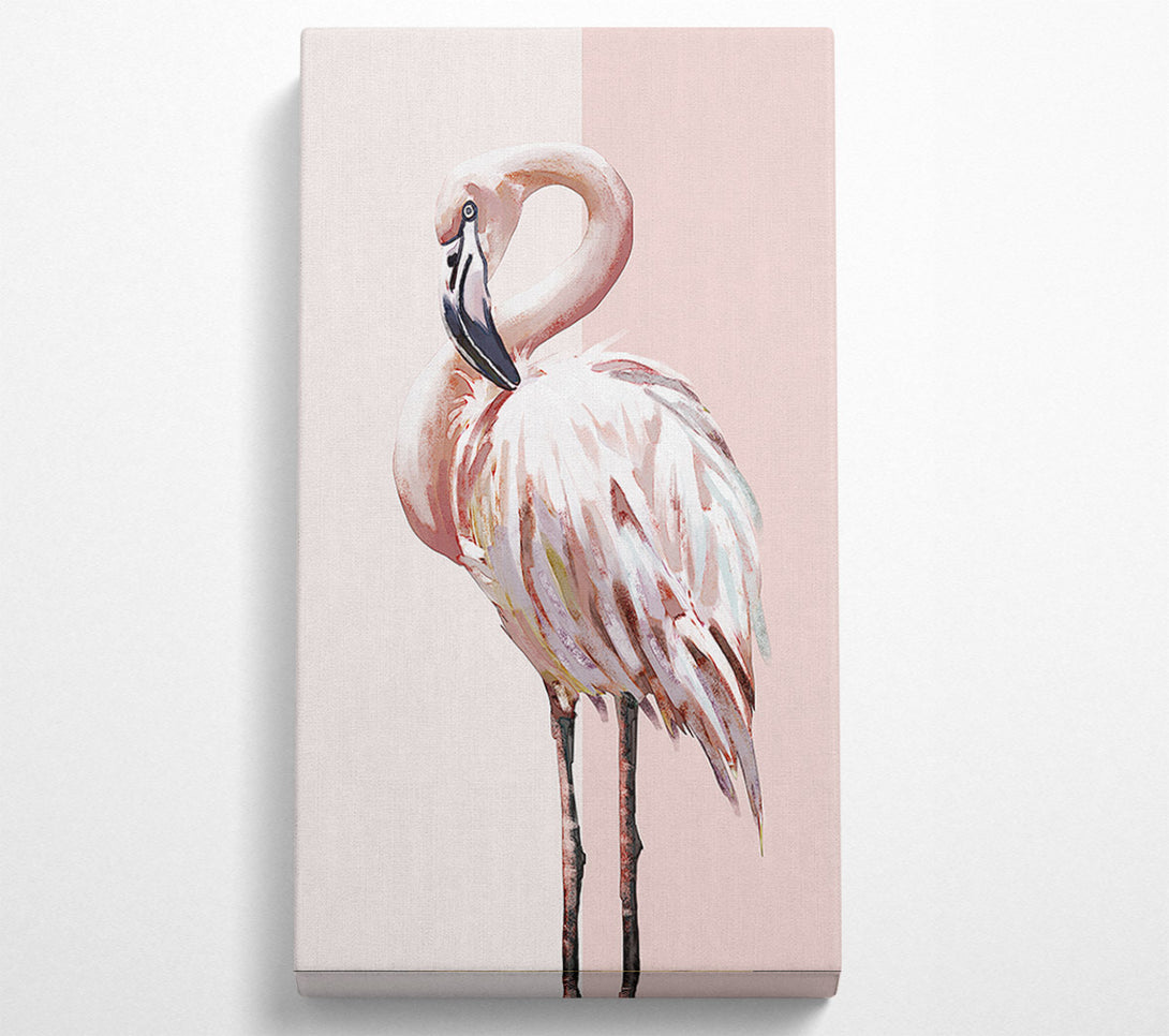  A Canvas Print of Flamingo Canvas Print