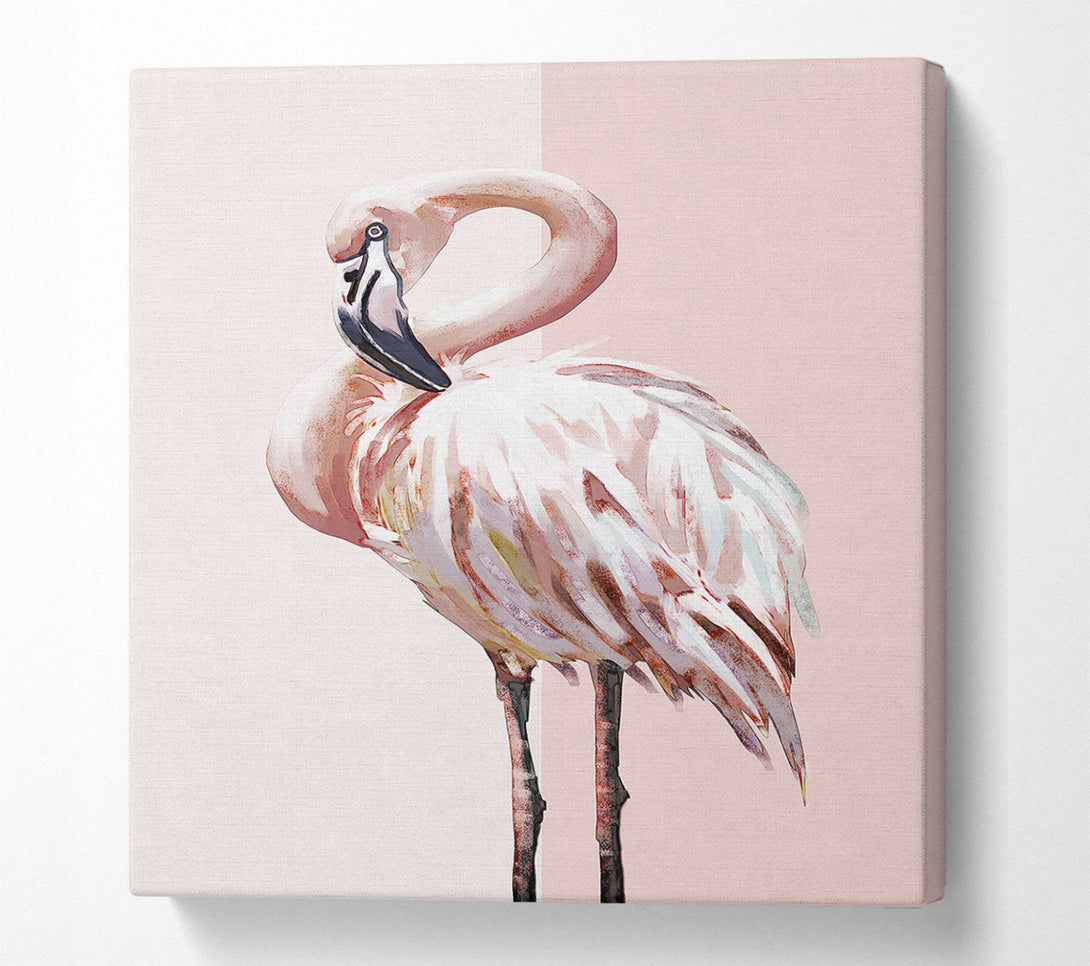  A Canvas Print of Flamingo Canvas Print