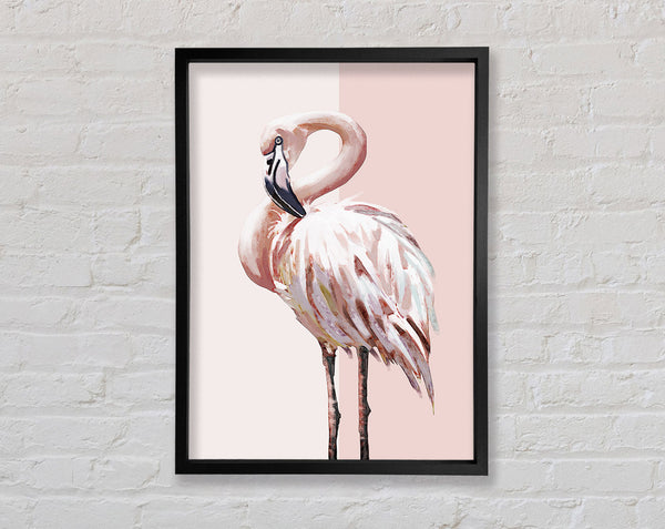 Flamingo Framed Print