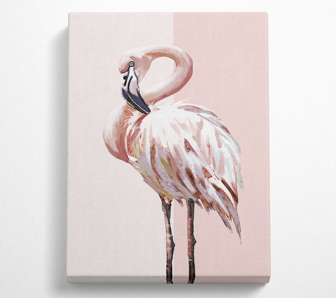  A Canvas Print of Flamingo Canvas Print