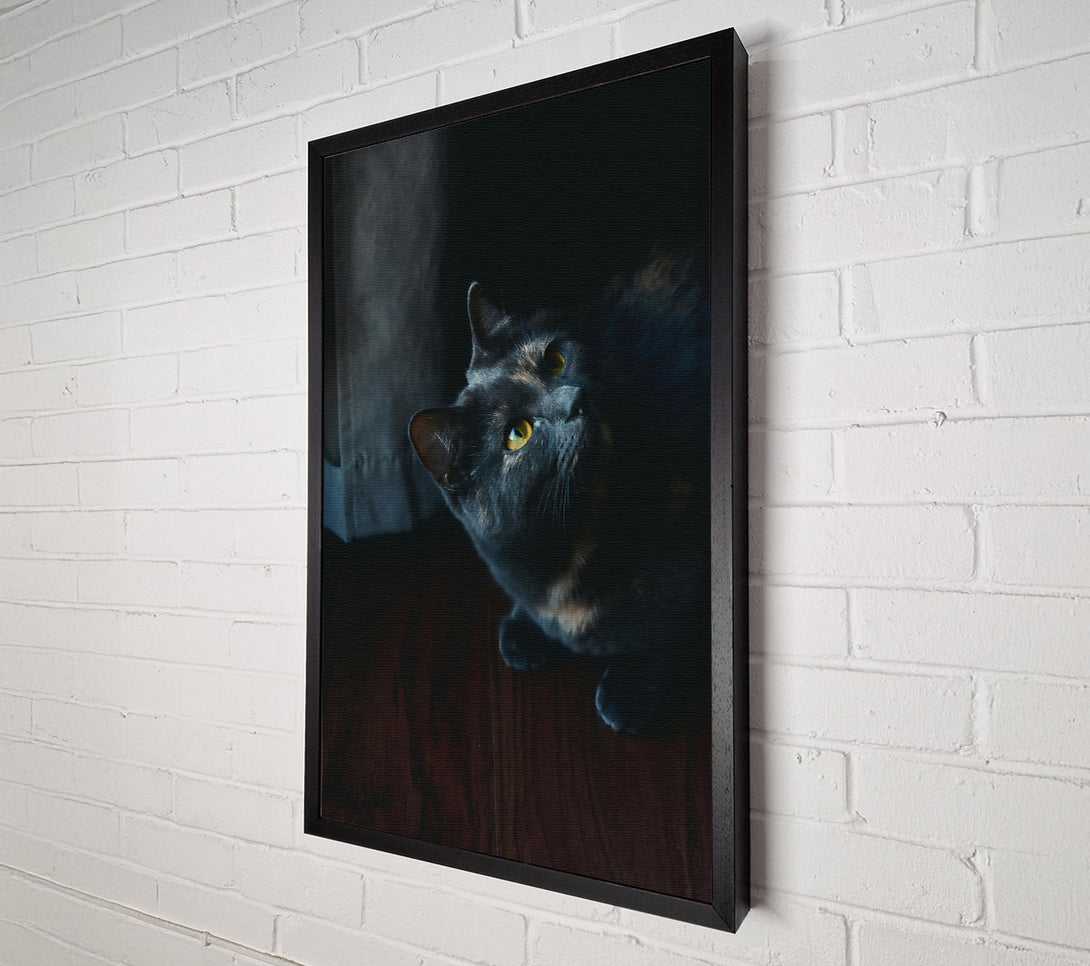  A Canvas Print of Shadowed Blue Gaze Canvas Wall Art