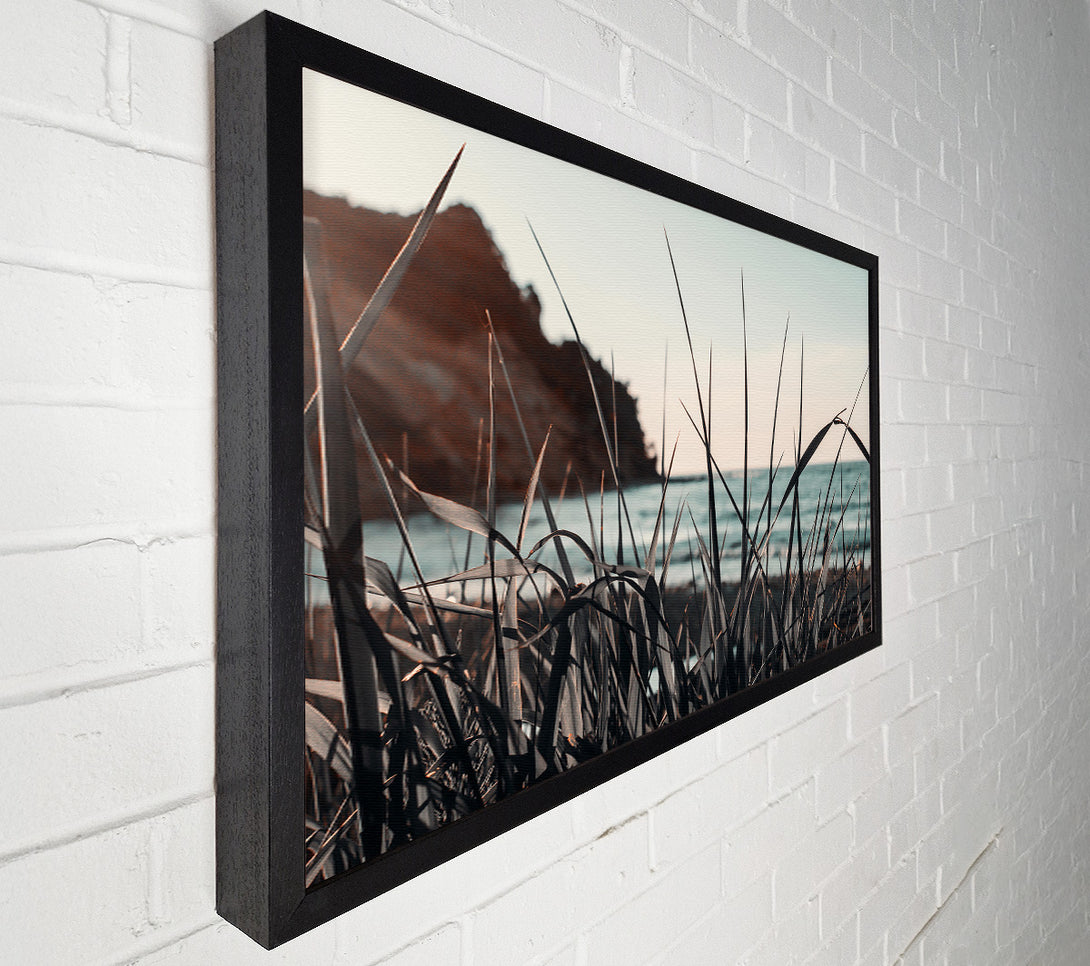  A Canvas Print of Oceanside Bluegrass Canvas Print