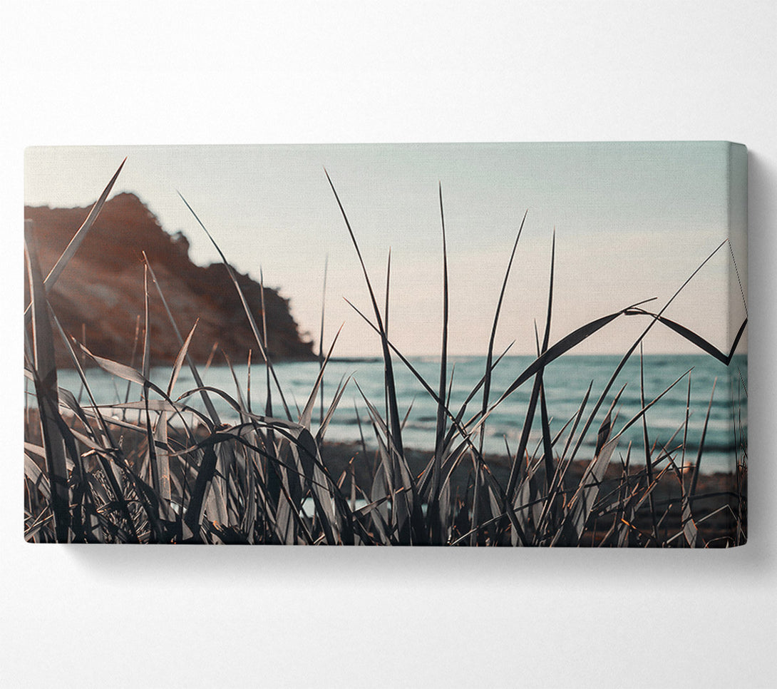  A Canvas Print of Oceanside Bluegrass Canvas Print