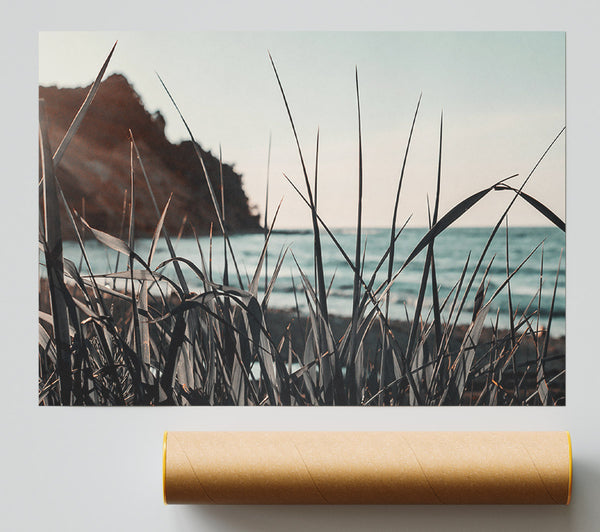 Oceanside Bluegrass Poster