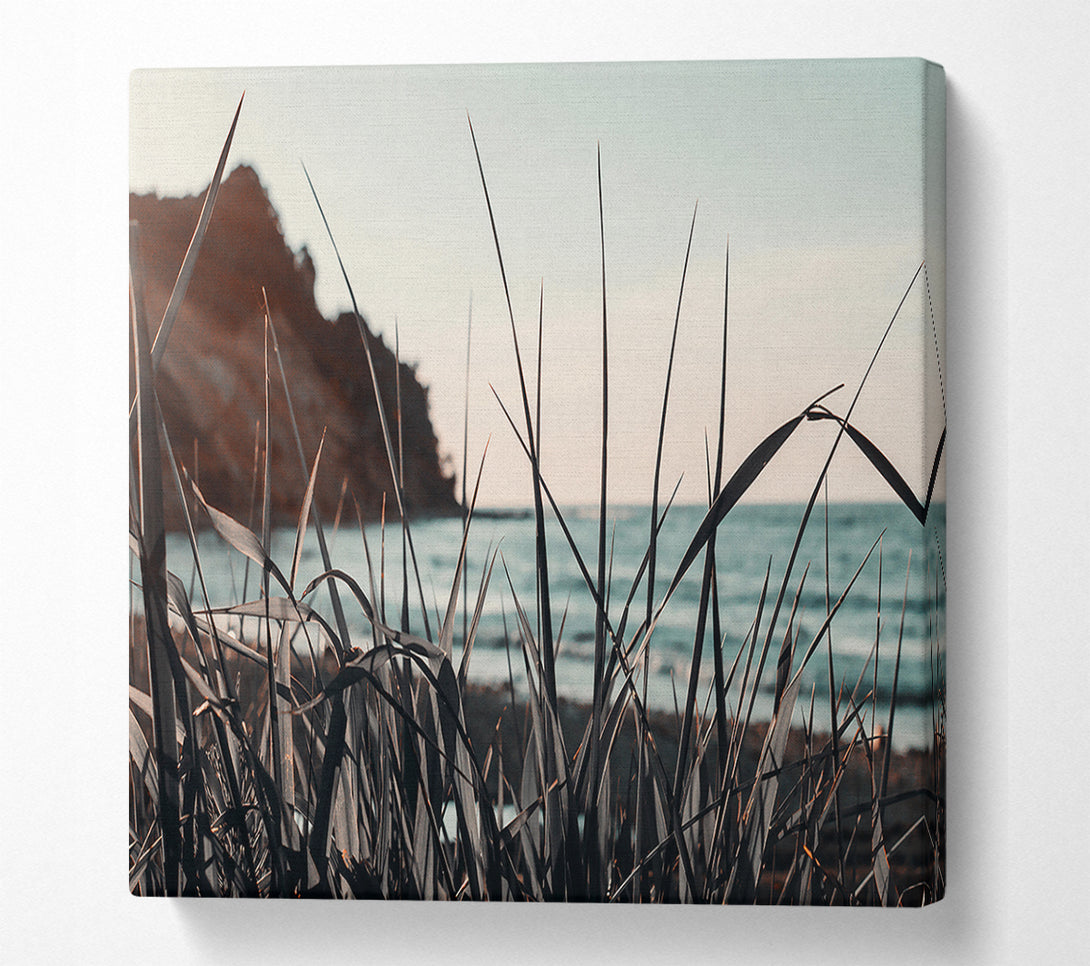  A Canvas Print of Oceanside Bluegrass Canvas Print