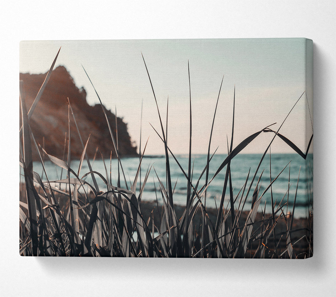  A Canvas Print of Oceanside Bluegrass Canvas Print