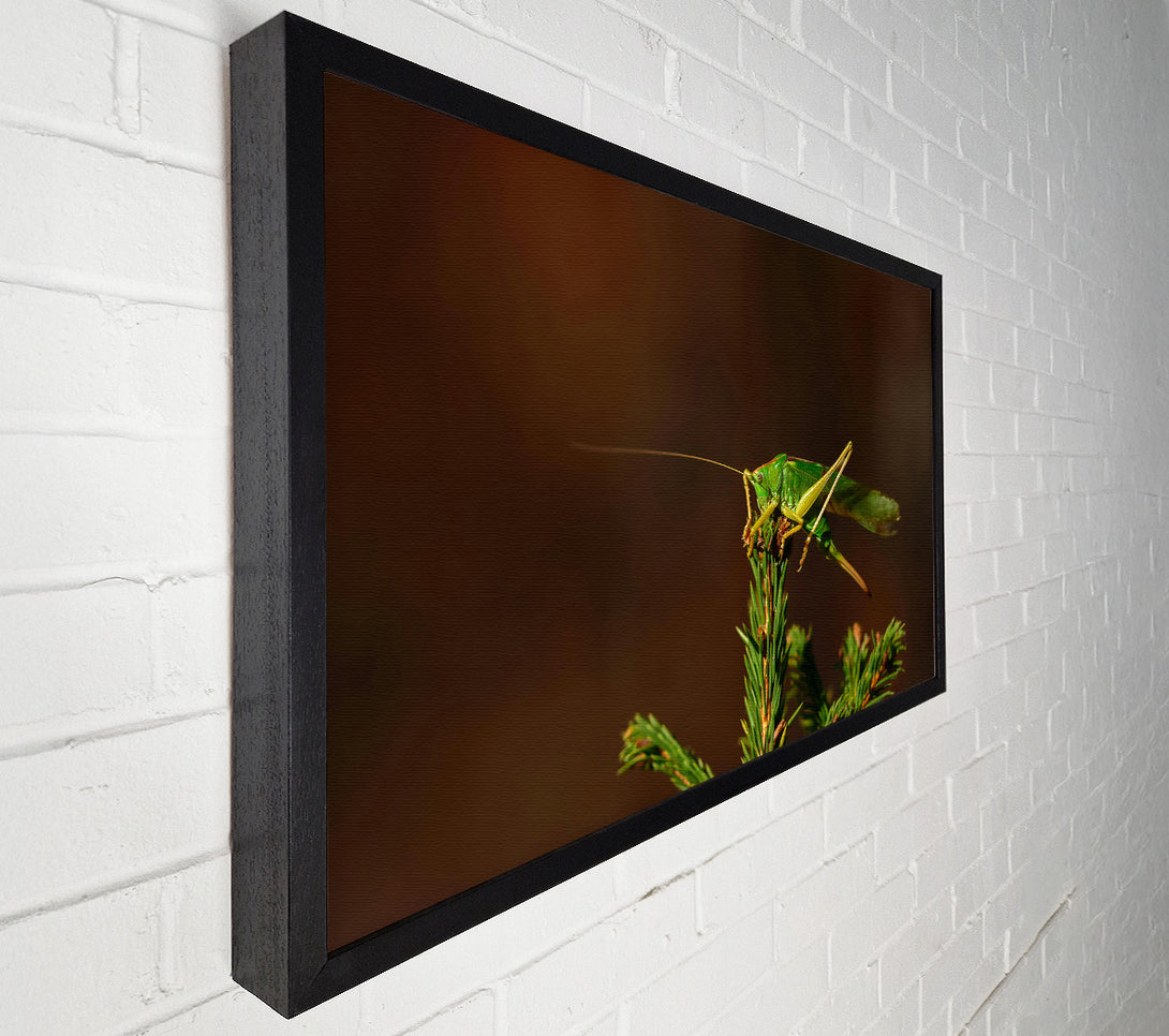  A Canvas Print of Emerald On A Branch Canvas Wall Art