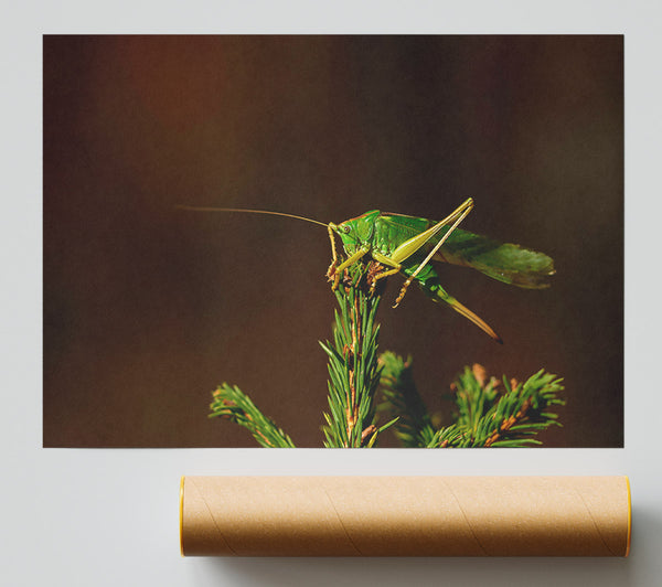 Emerald On A Branch Poster