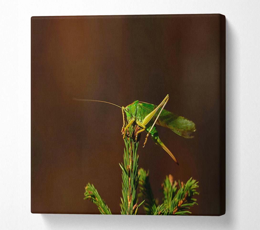  A Canvas Print of Emerald On A Branch Canvas Wall Art