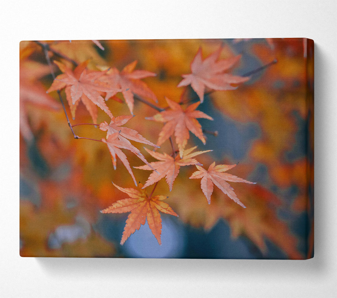  A Canvas Print of Crimson Autumn Leaves Canvas Wall Art